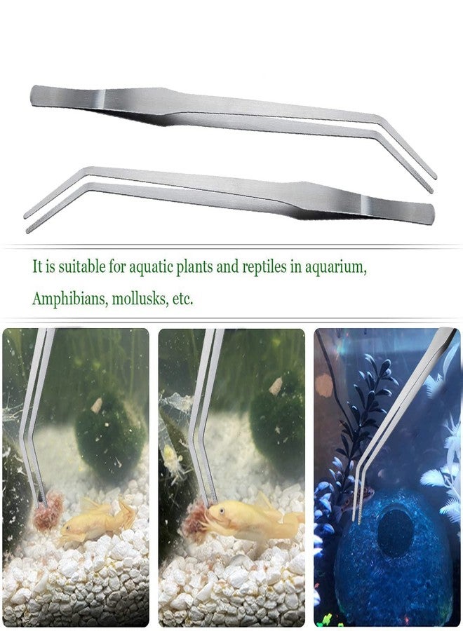 ويستيرن إرا ملقط حوض أسماك ويسترن إيرا مستقيم بطول 38 سم، مناسب للمياه المالحة والعذبة، يتميز بمرونة فائقة، ومقاومة فعالة للصدأ، ومتين، للاستخدام المستدام، مناسب للثعابين والسحالي والعناكب والثعابين الكروية والوزغات - Image 5